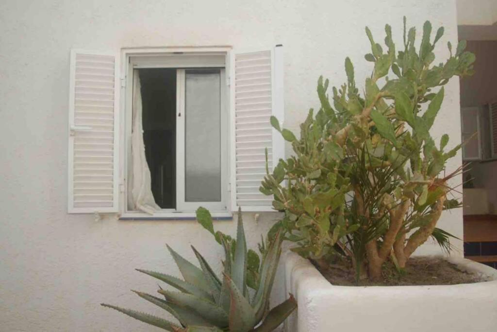 Apartamento A 2 Minutos Andando A La Playa. La Isleta del Moro Kültér fotó